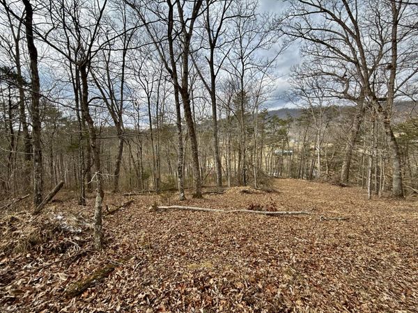 25/Ac Tbd Horton, Chuckey, TN 37641