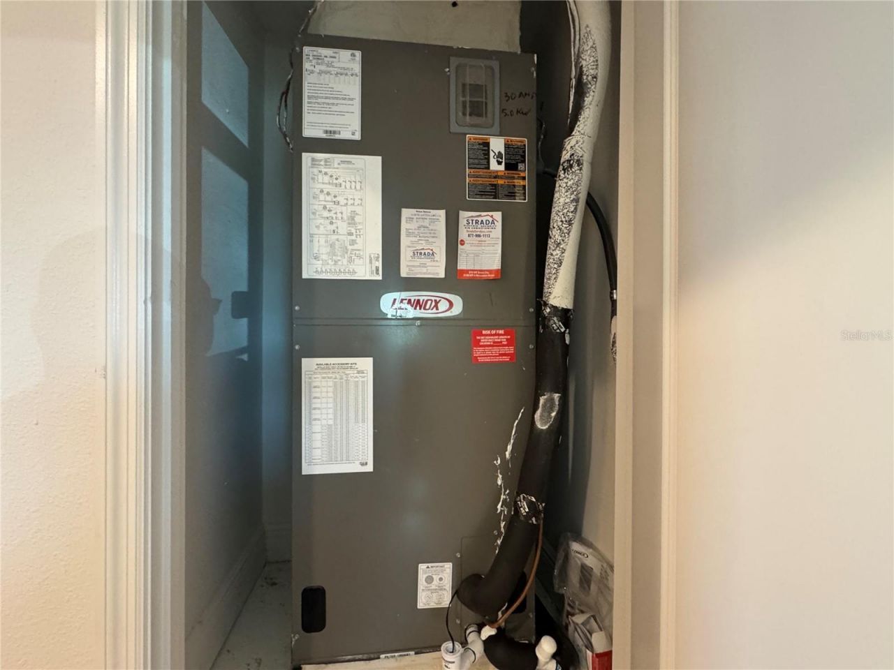 10190 Dolphin Gull Circle, Thonotosassa, FL 33592 Photo