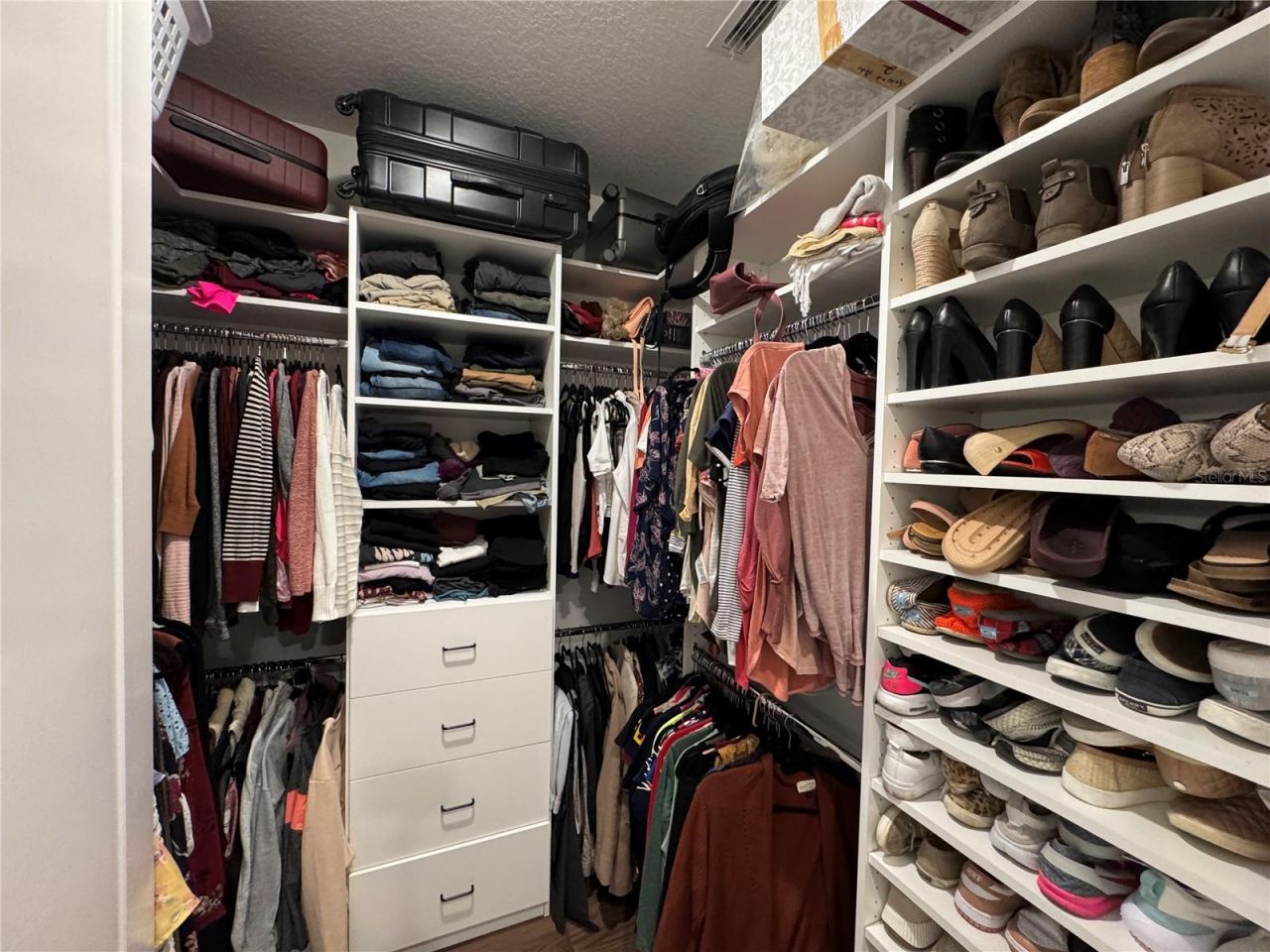 10190 Dolphin Gull Circle, Thonotosassa, FL 33592 Photo