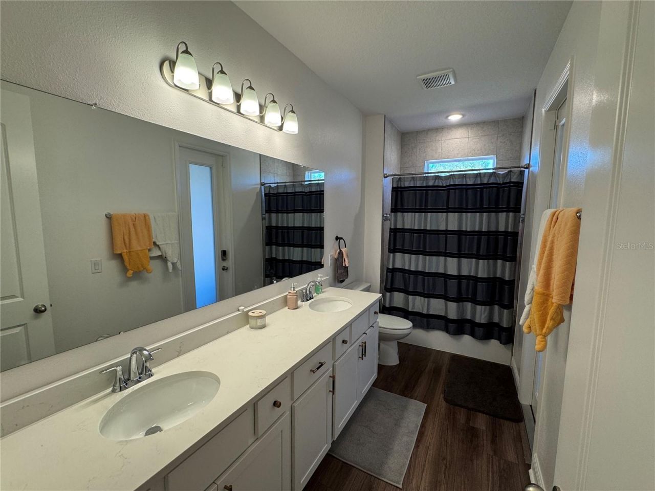 10190 Dolphin Gull Circle, Thonotosassa, FL 33592 Photo