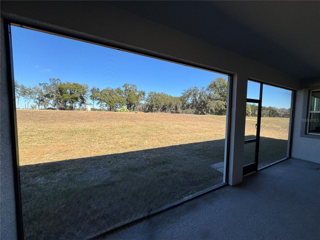 10190 Dolphin Gull Circle, Thonotosassa, FL 33592 Photo