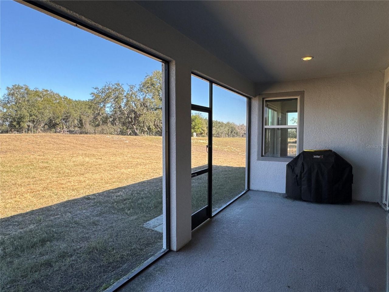 10190 Dolphin Gull Circle, Thonotosassa, FL 33592 Photo