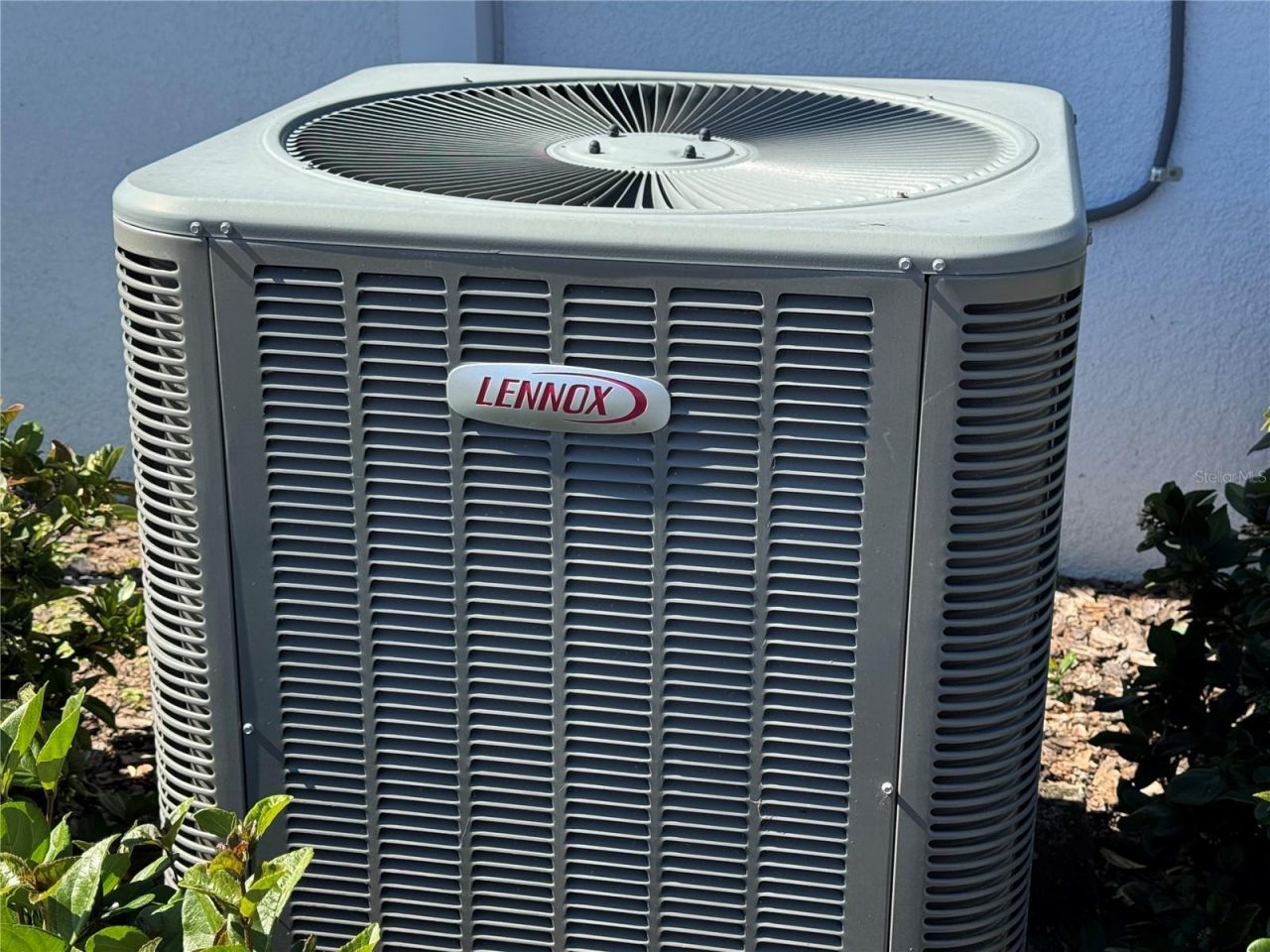 10190 Dolphin Gull Circle, Thonotosassa, FL 33592 Photo