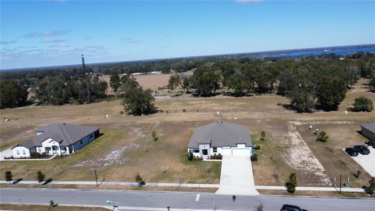 10190 Dolphin Gull Circle, Thonotosassa, FL 33592 Photo