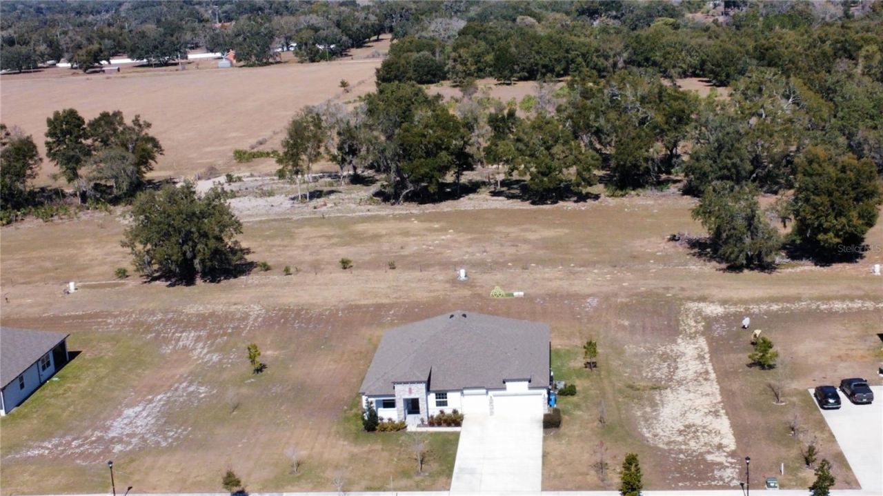 10190 Dolphin Gull Circle, Thonotosassa, FL 33592 Photo