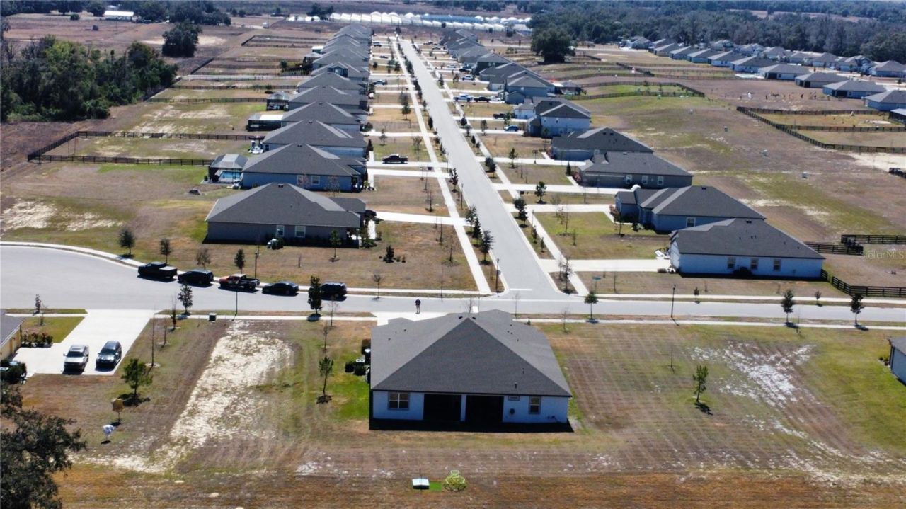 10190 Dolphin Gull Circle, Thonotosassa, FL 33592 Photo