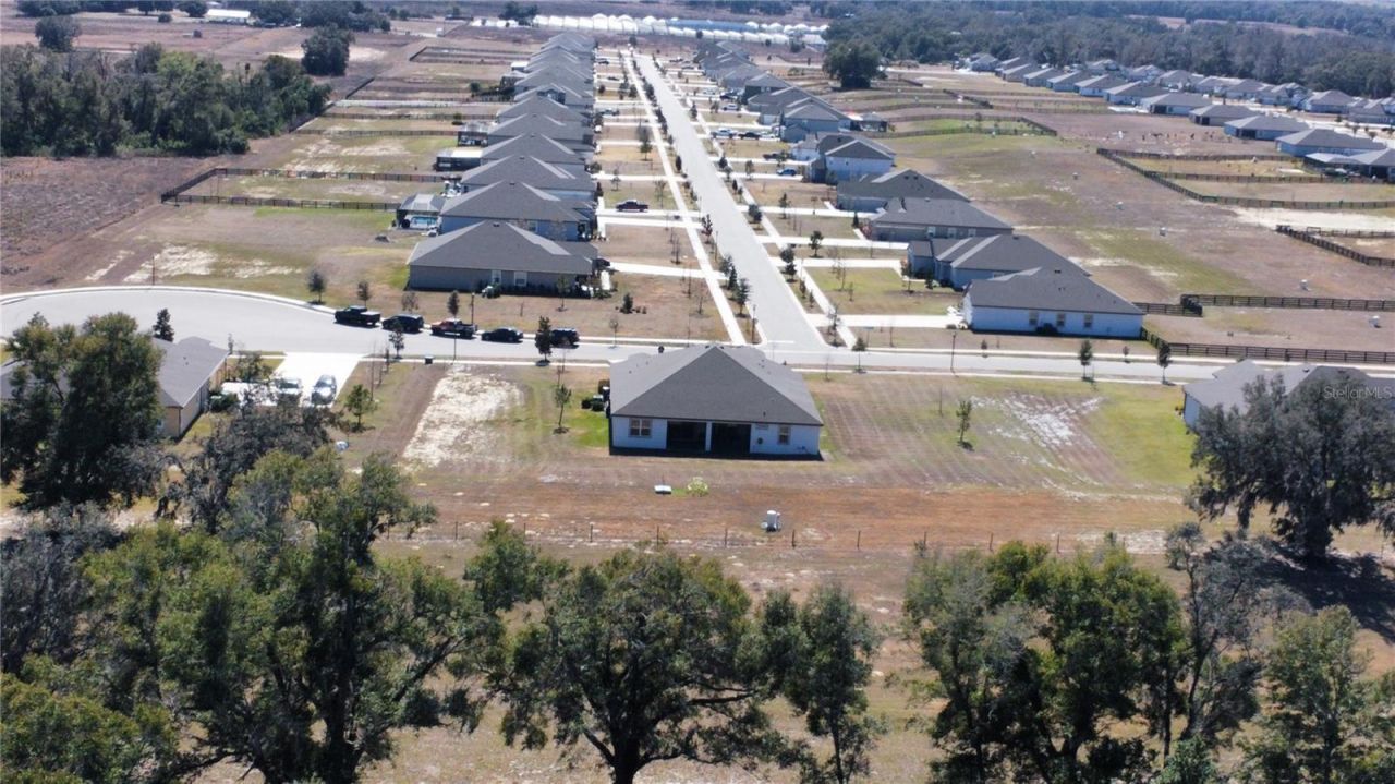 10190 Dolphin Gull Circle, Thonotosassa, FL 33592 Photo