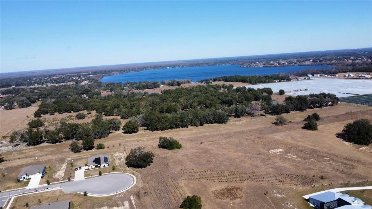 10190 Dolphin Gull Circle, Thonotosassa, FL 33592 Photo