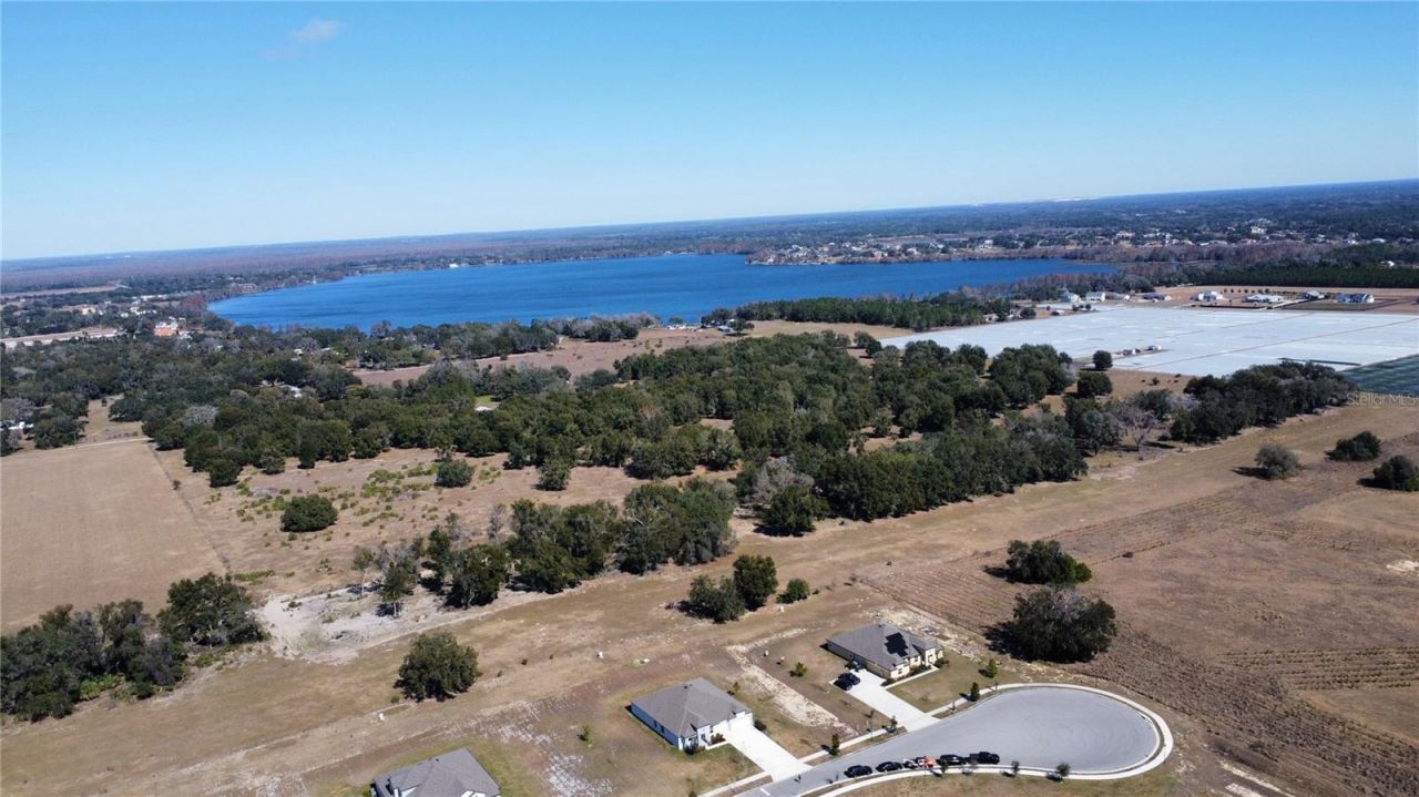 10190 Dolphin Gull Circle, Thonotosassa, FL 33592 Photo