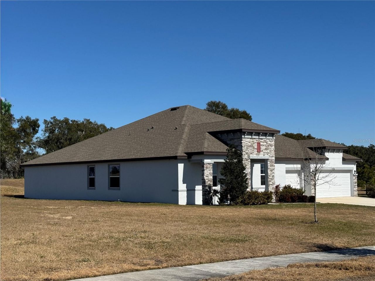 10190 Dolphin Gull Circle, Thonotosassa, FL 33592 Photo