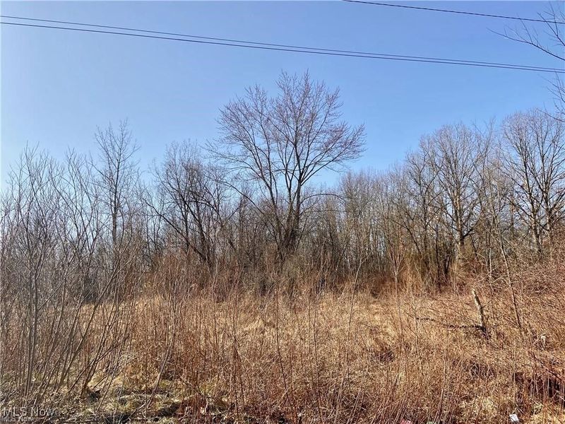 James Street, Niles, OH 44446 Photo 3