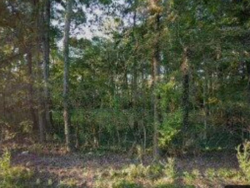 3070 Watson Road, Clark Twp, OH 45130 Photo 3