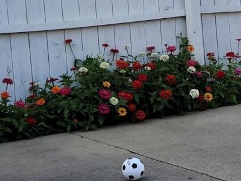 210 S 4th Street, Byesville, OH 43723 Photo 10