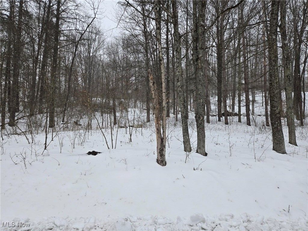 Scott Road, Stockport, OH 43787 Main Photo