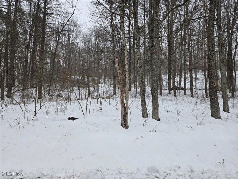 Scott Road, Stockport, OH 43787 Photo 1