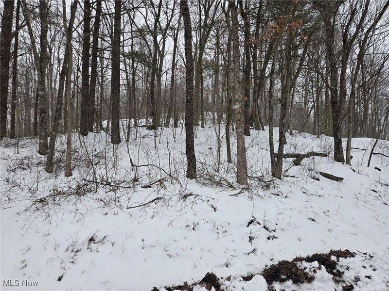 Scott Road, Stockport, OH 43787 Photo 2