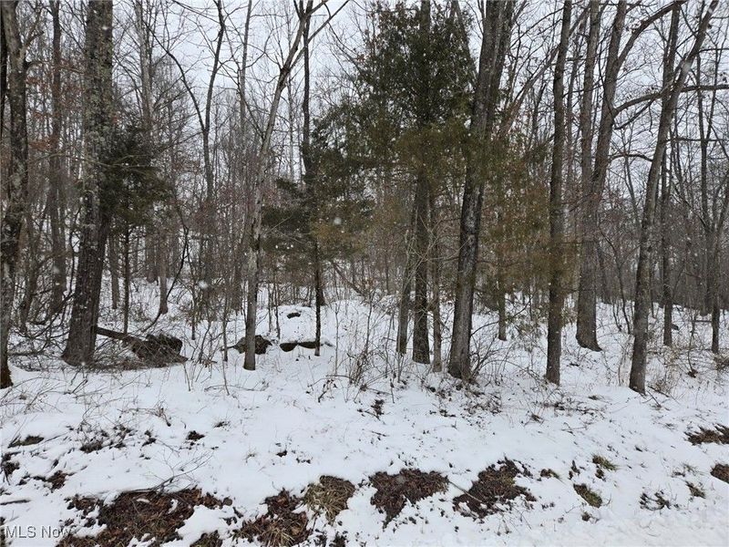 Scott Road, Stockport, OH 43787 Photo 4