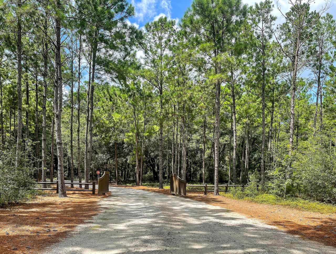 4770 Tennis Club Lane Photo 97