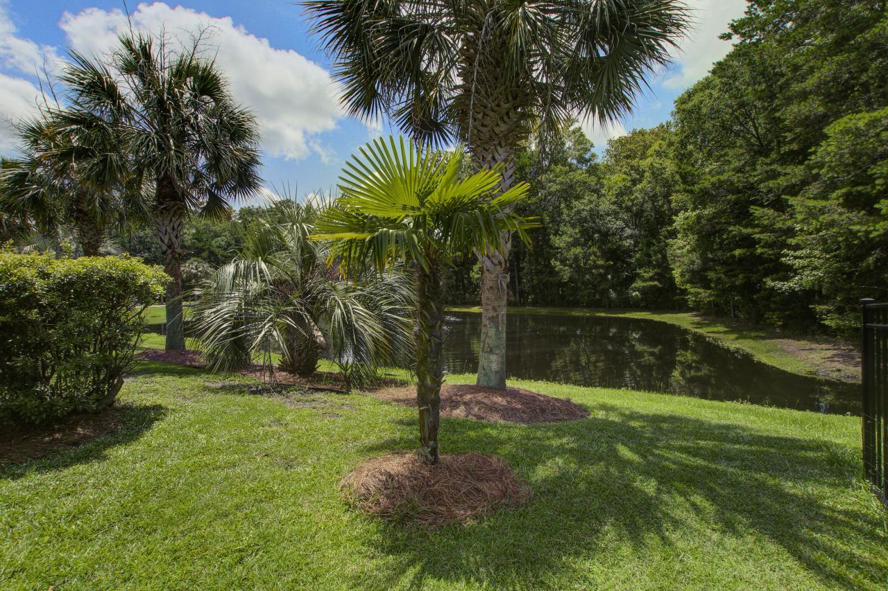 136 Heart Pine Circle Photo 47