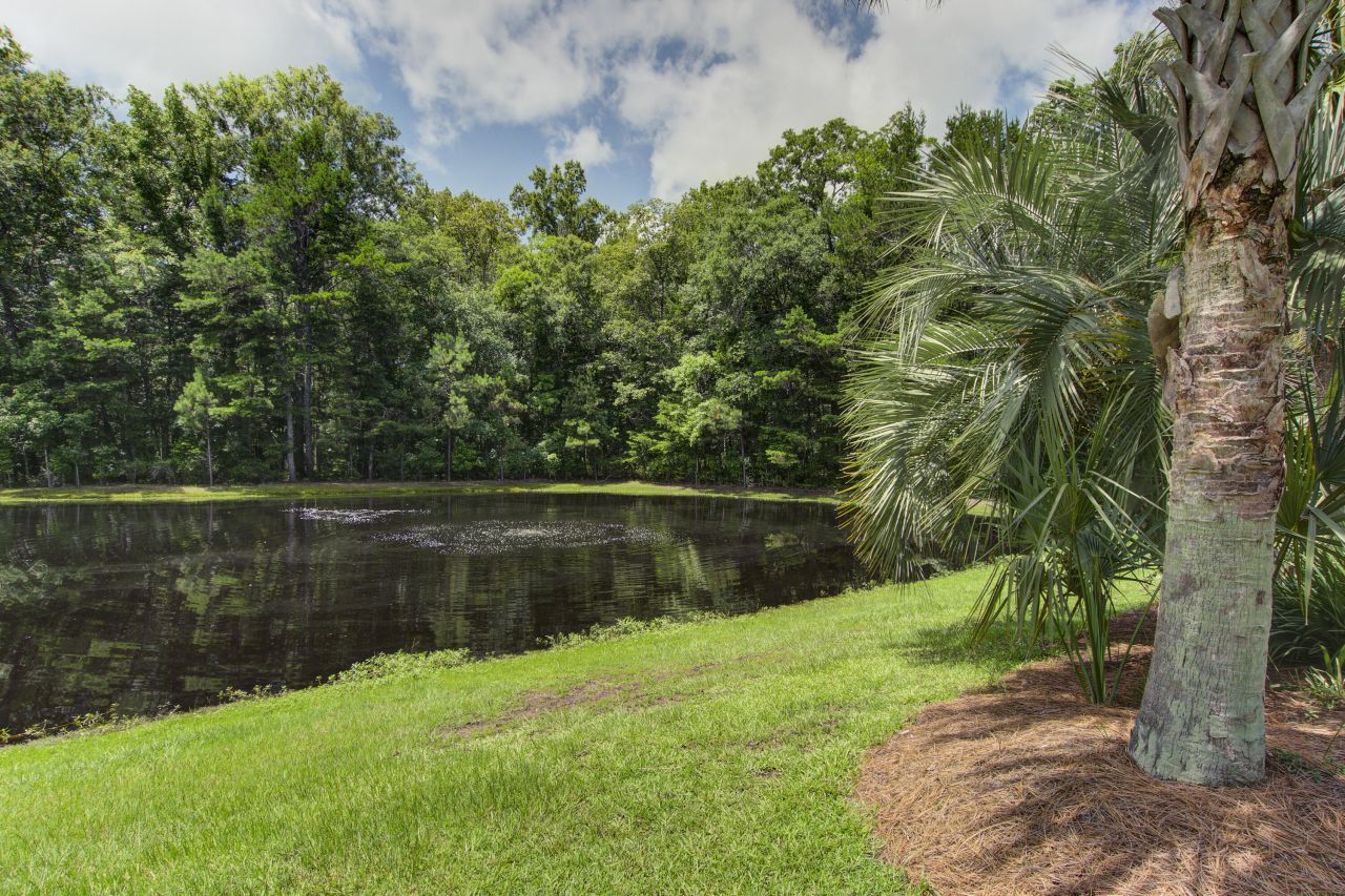 136 Heart Pine Circle Photo 51