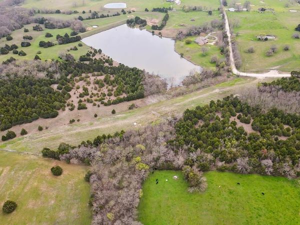 25.256 acres CR-672, Blue Ridge, TX 75424