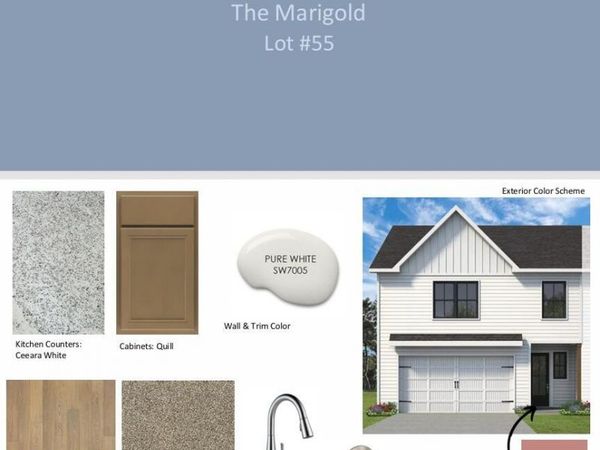 8806 Chapman Trace Way, Knoxville, TN 37920