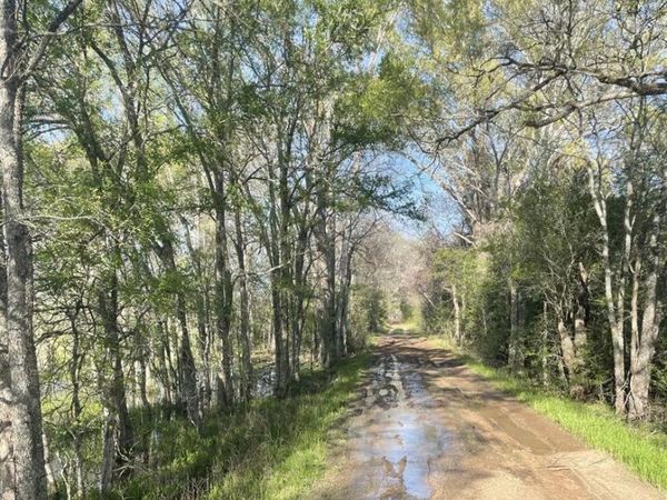 TBD FM 542 Road, Oakwood, TX 75855