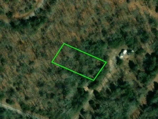 705 N Dogwood Drive, Horseshoe Bend, AR 72512