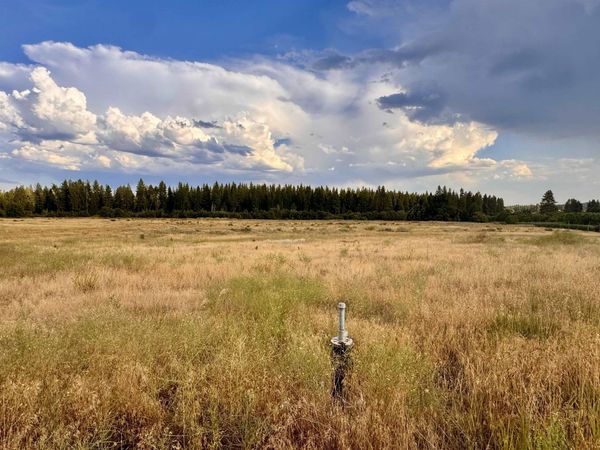 6311 W Herman Rd, Deer Park, WA 99006