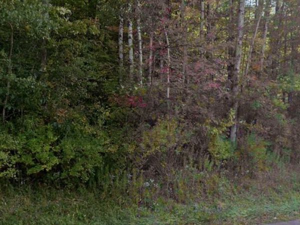 00 Rt-16, Franklinville, NY 14737