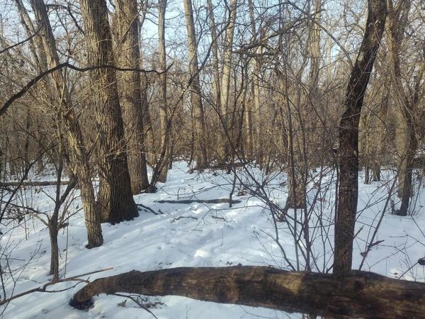 Lot11-14 109TH STREET, Trevor, WI 53179