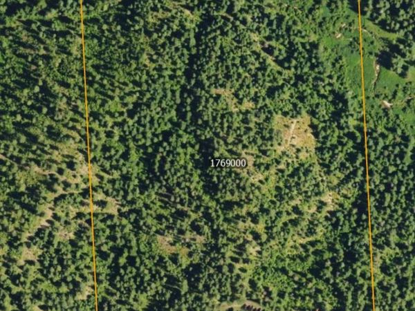 XXXX Allen Rd, Springdale, WA 99173