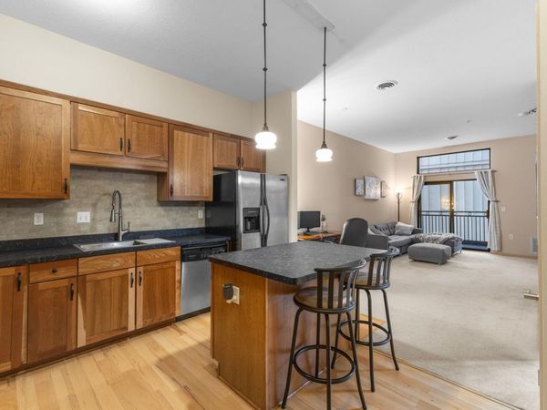 270 4th Street E, Unit 203, Saint Paul, MN 55101