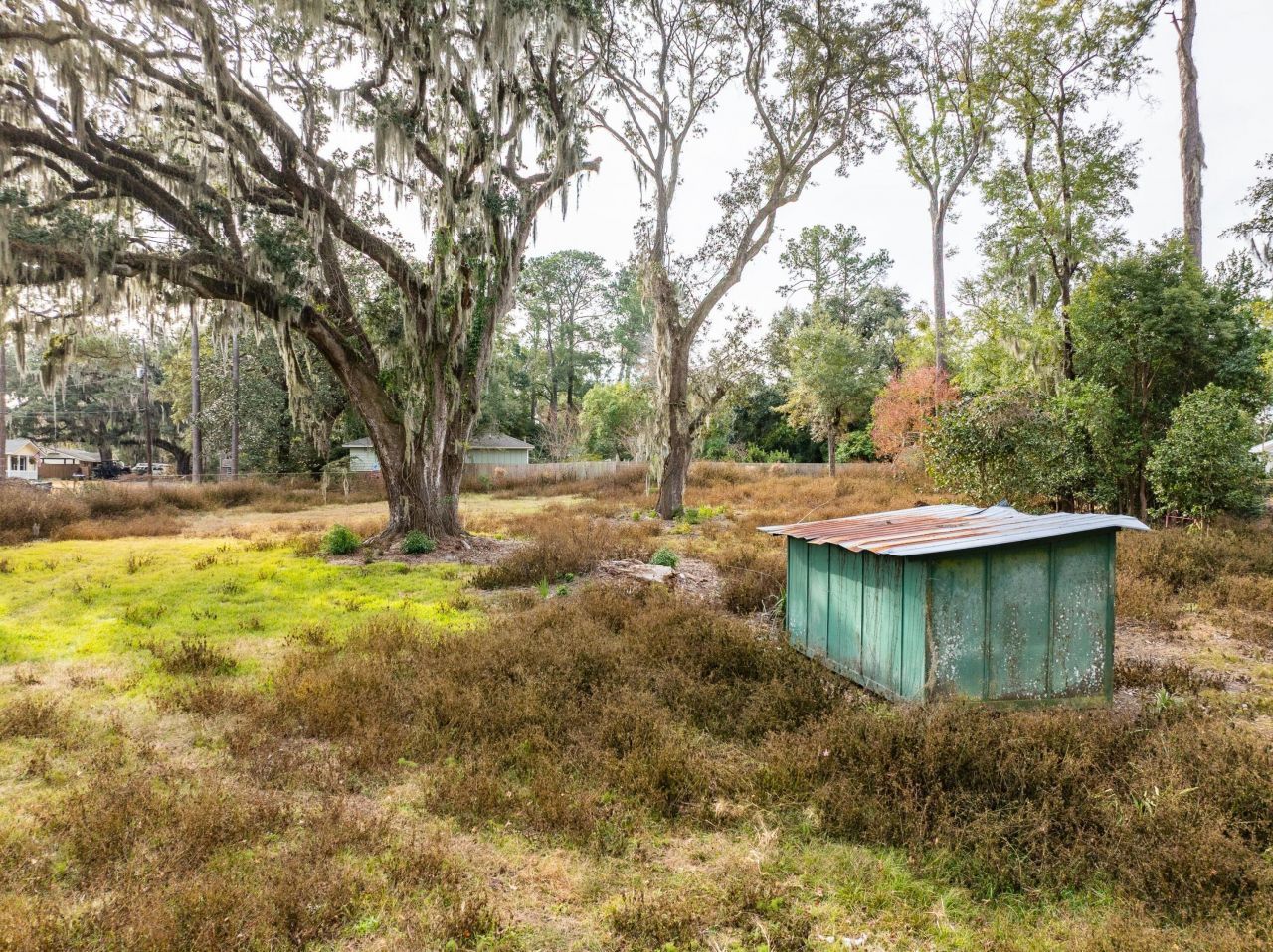 103 Whitfield Street Photo 11