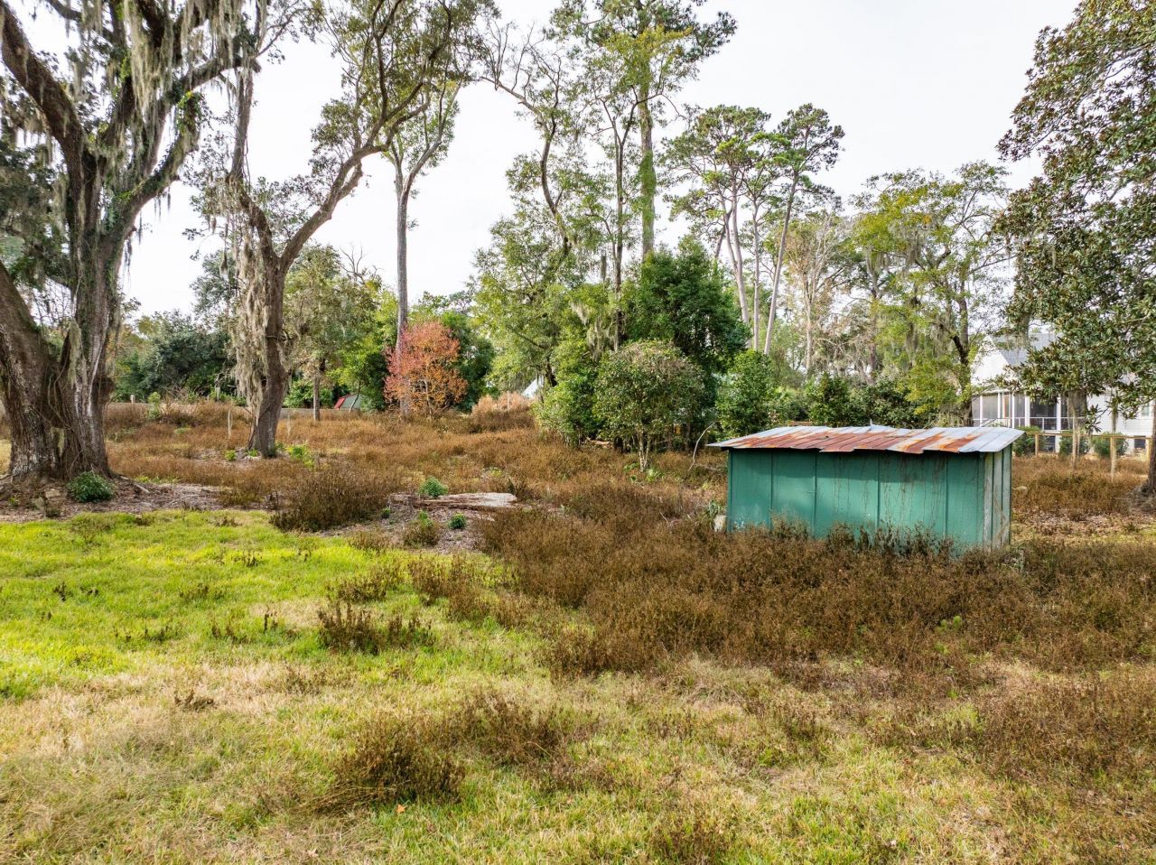 103 Whitfield Street Photo 4