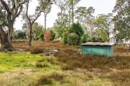 103 Whitfield Street photo 4