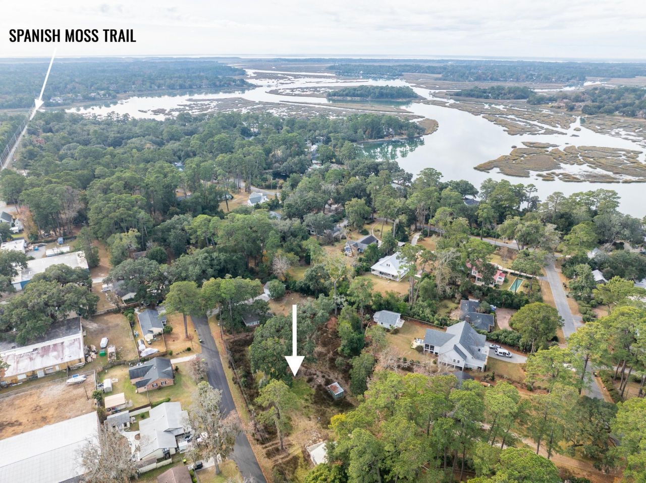 103 Whitfield Street Photo 5