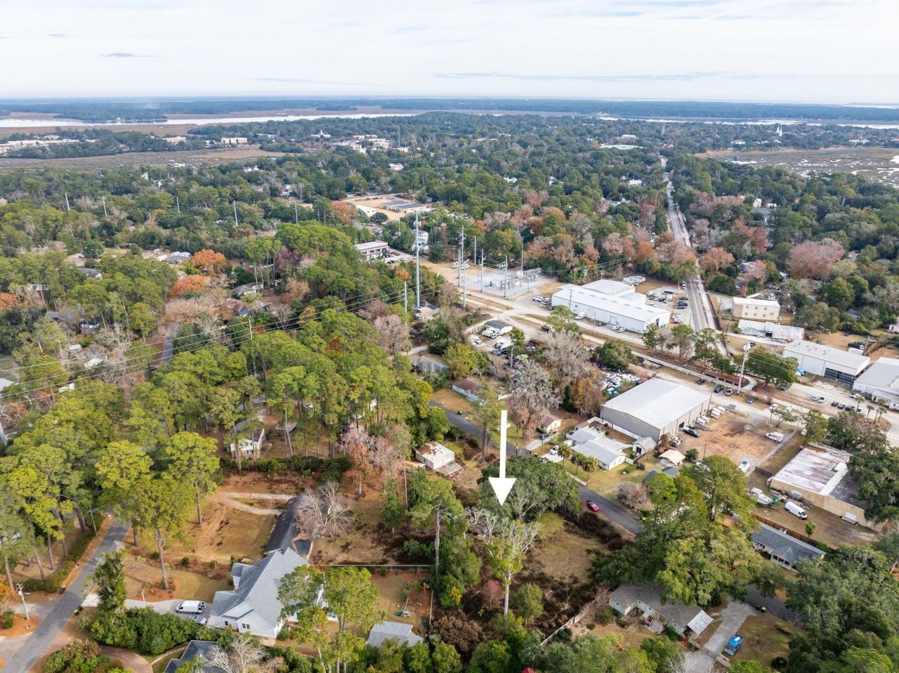 103 Whitfield Street Photo 6