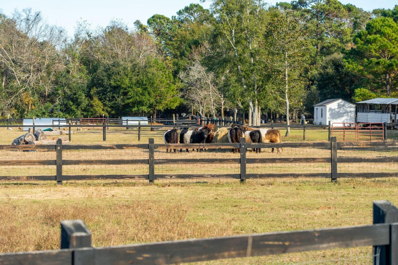 2186 Boatwright Road Photo 94