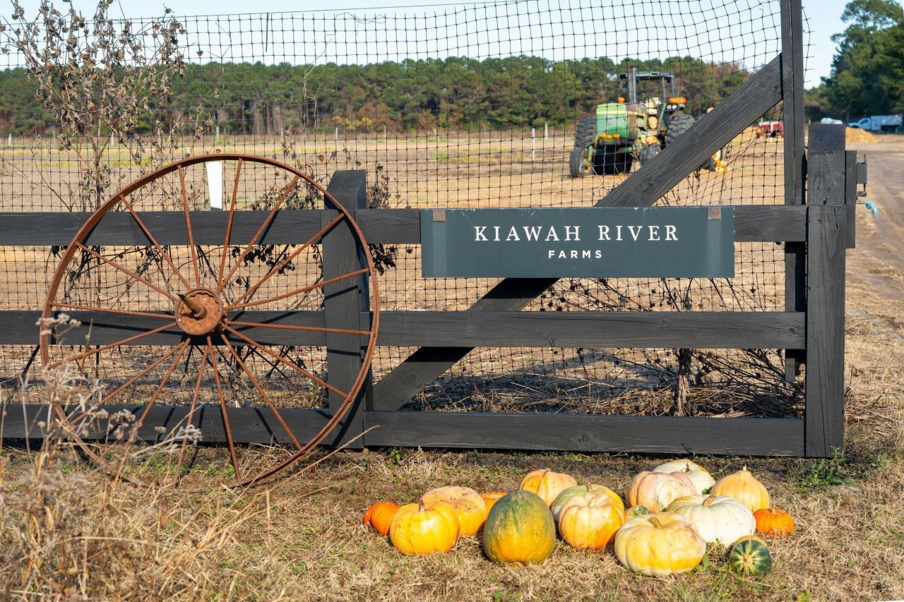 2186 Boatwright Road Photo 95