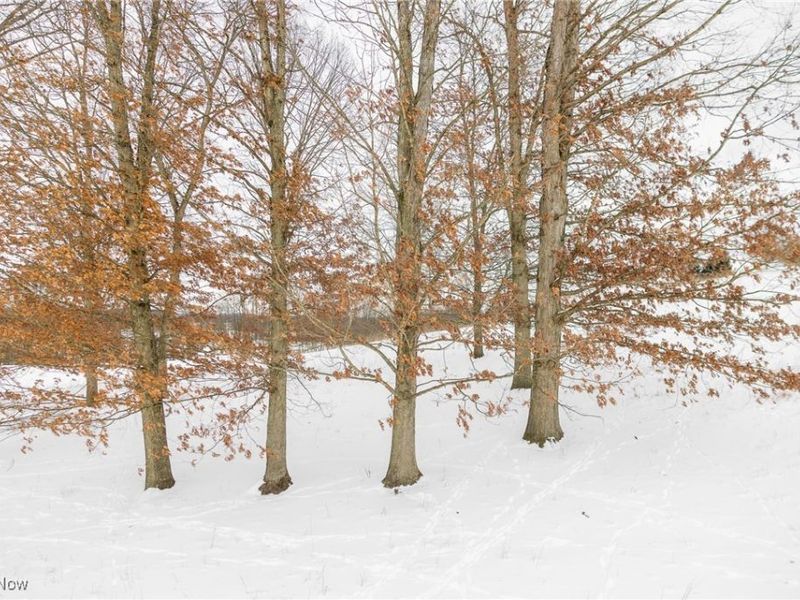 3640 NW Hope Road, Magnolia, OH 44643 Photo 27