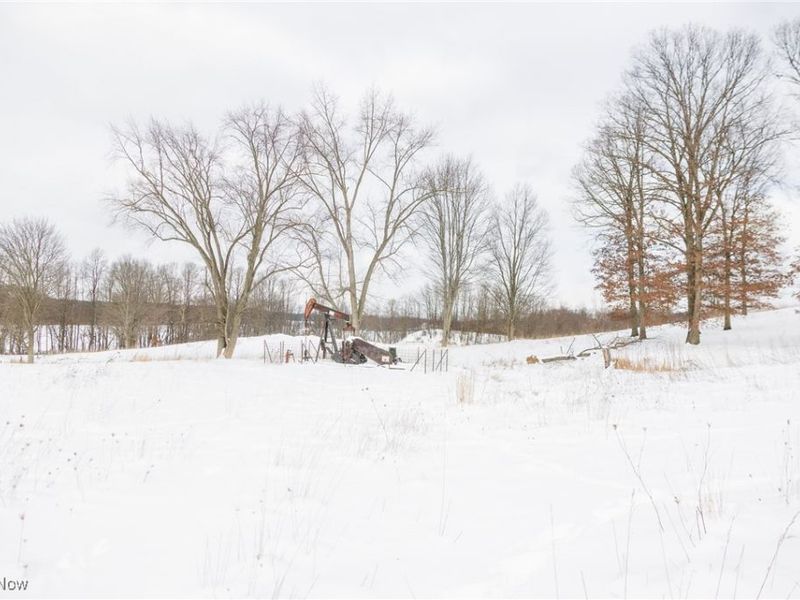 3640 NW Hope Road, Magnolia, OH 44643 Photo 35