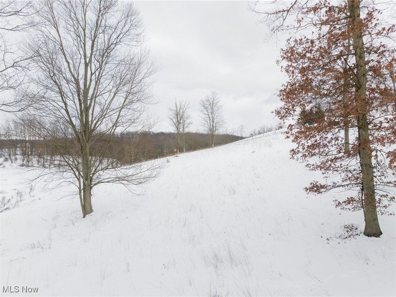 3640 NW Hope Road, Magnolia, OH 44643 Photo 46