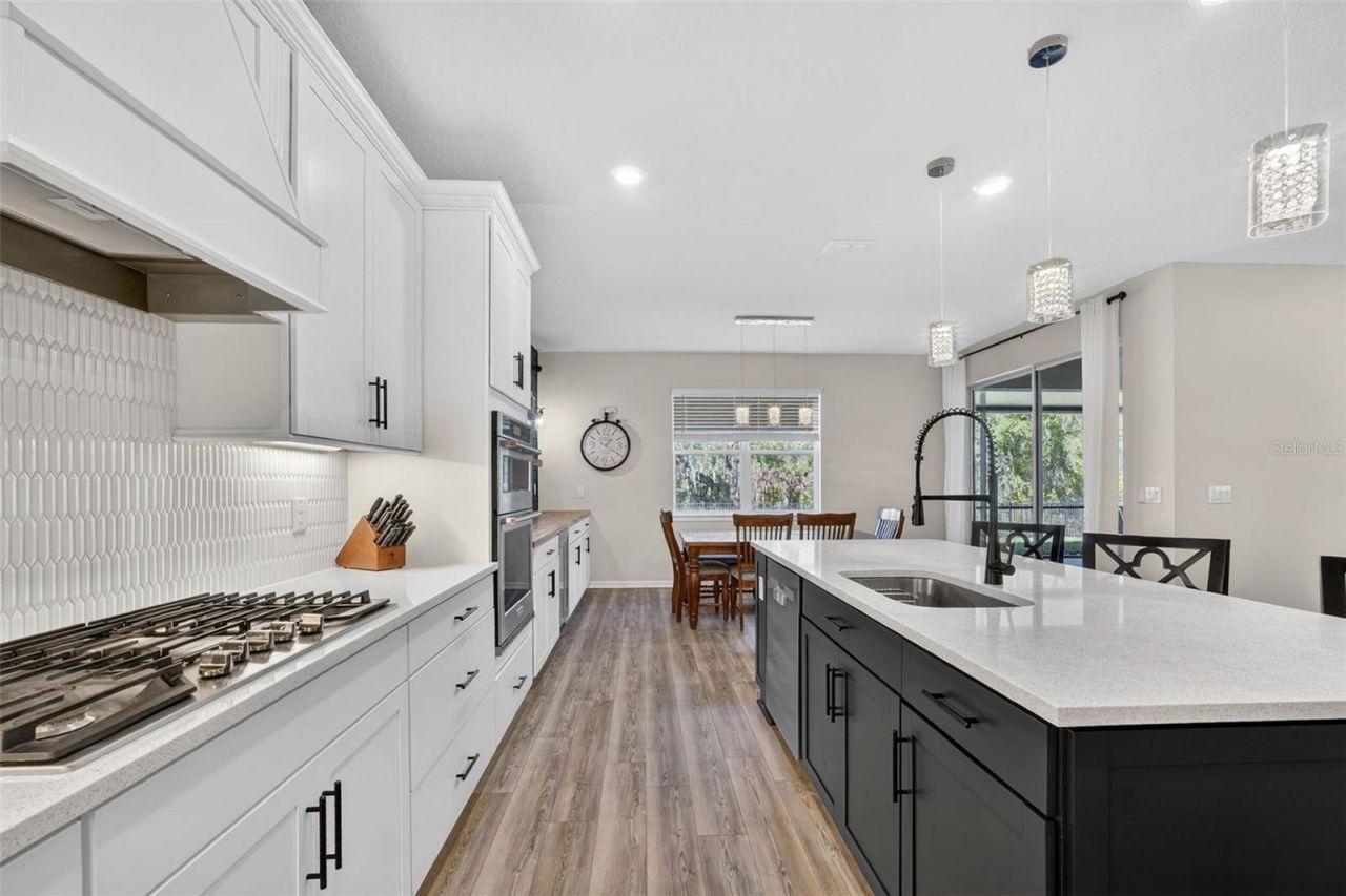 17731 Ramble On Way, Land O Lakes, FL 34638 Photo