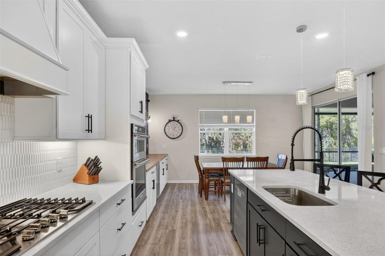 17731 Ramble On Way, Land O Lakes, FL 34638 Photo