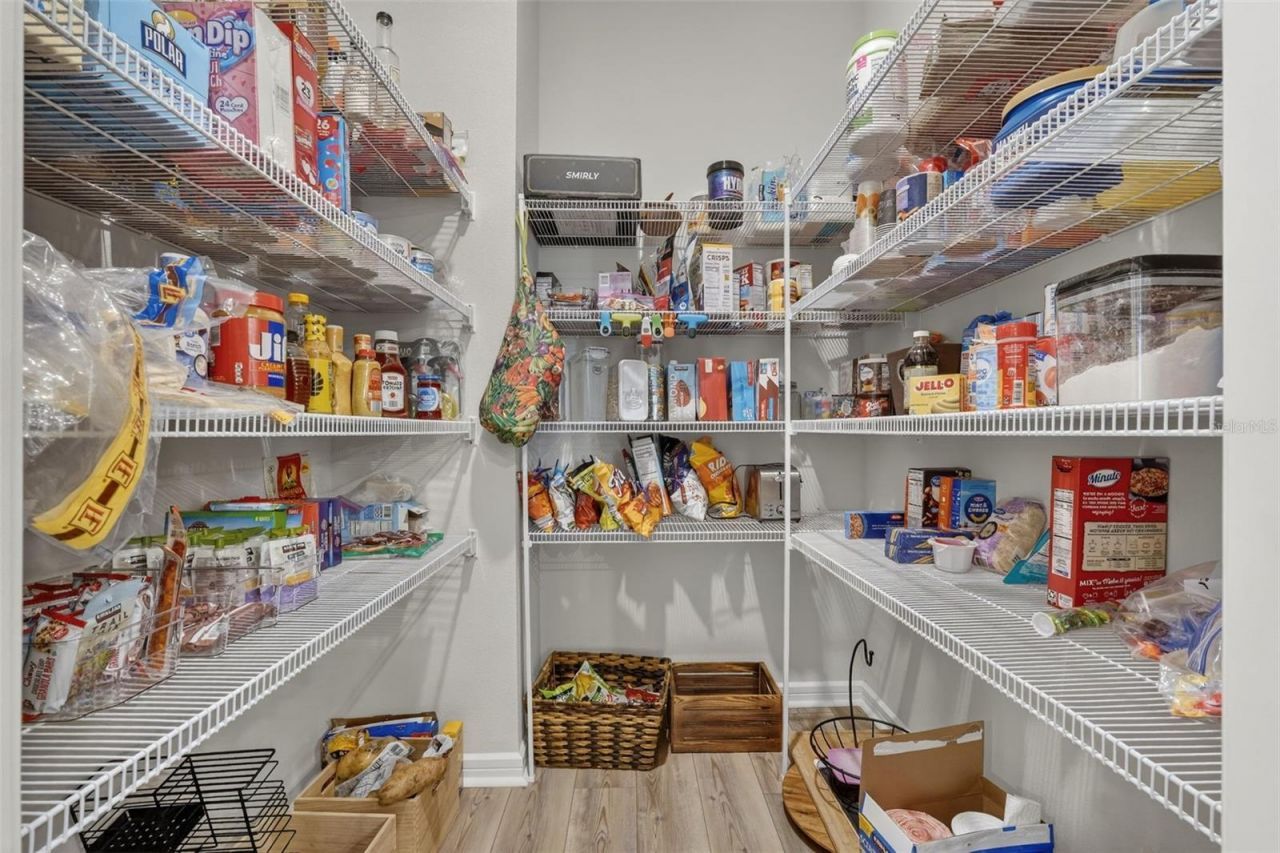 17731 Ramble On Way, Land O Lakes, FL 34638 Photo