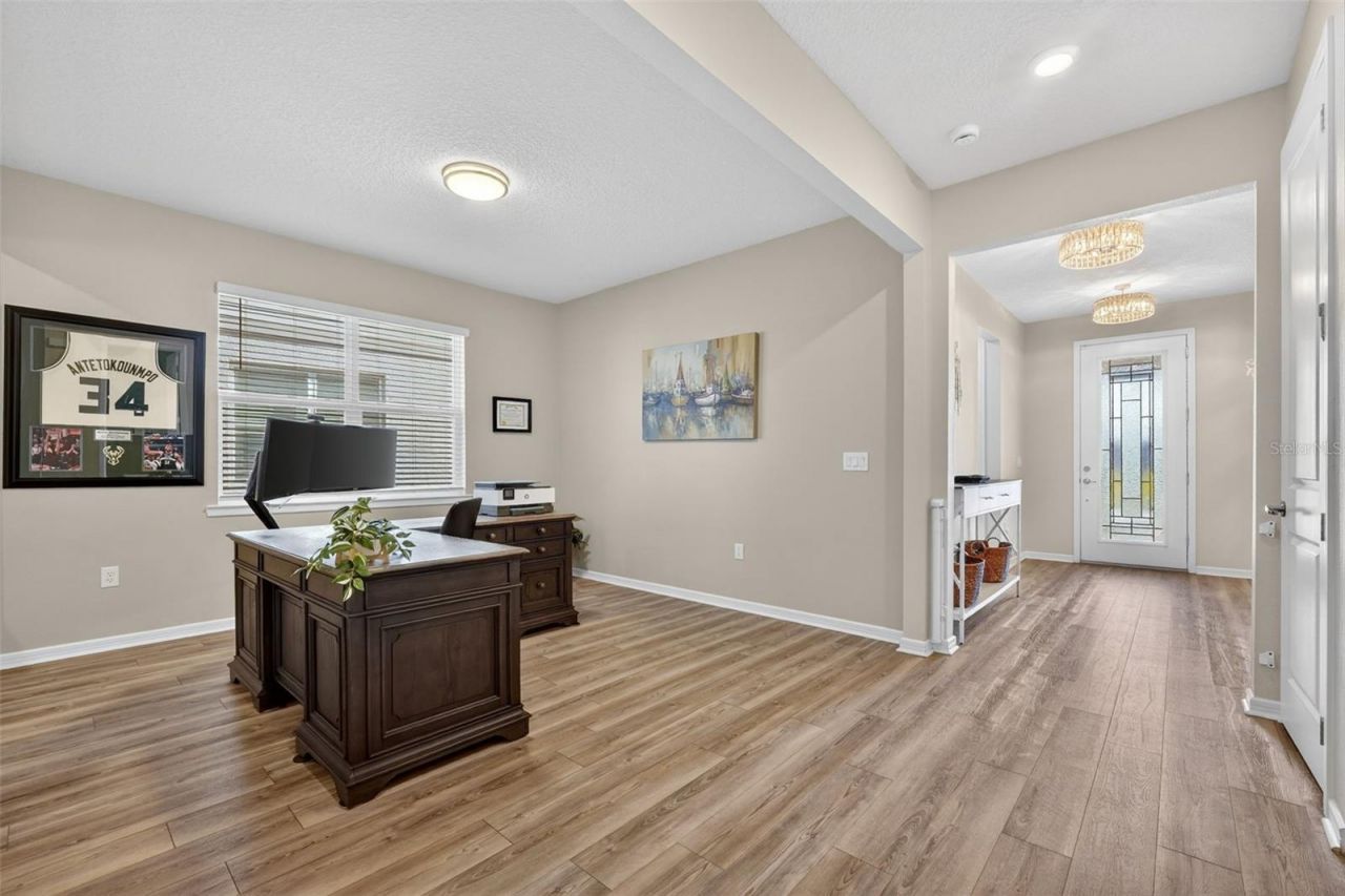 17731 Ramble On Way, Land O Lakes, FL 34638 Photo