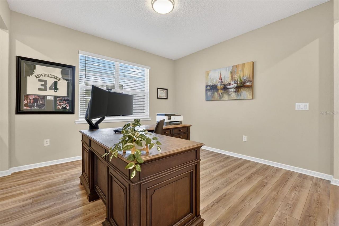 17731 Ramble On Way, Land O Lakes, FL 34638 Photo