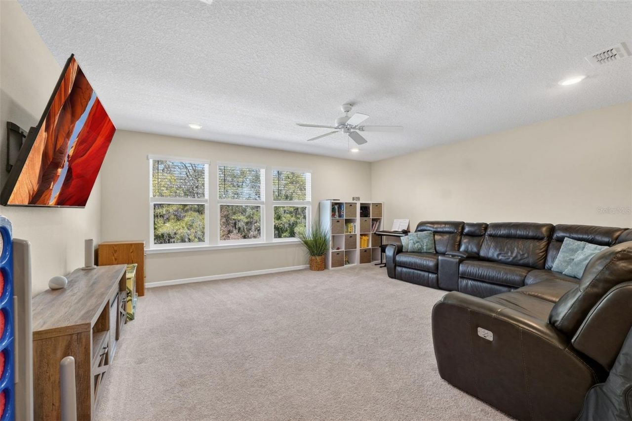 17731 Ramble On Way, Land O Lakes, FL 34638 Photo