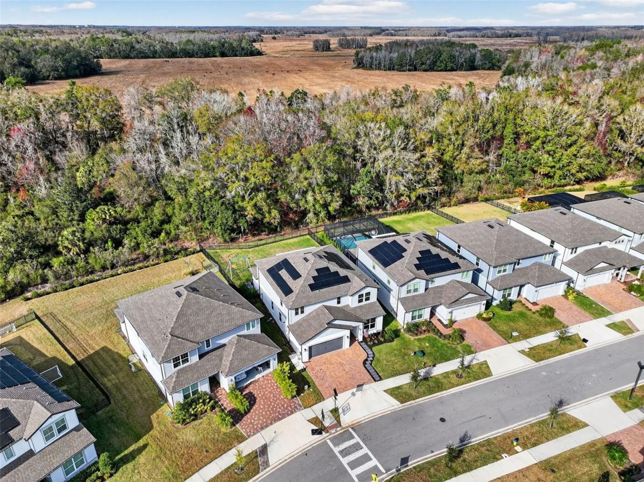 17731 Ramble On Way, Land O Lakes, FL 34638 Photo